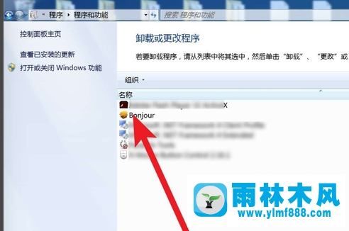 雨林木風win10卸載bonjour的方法教程